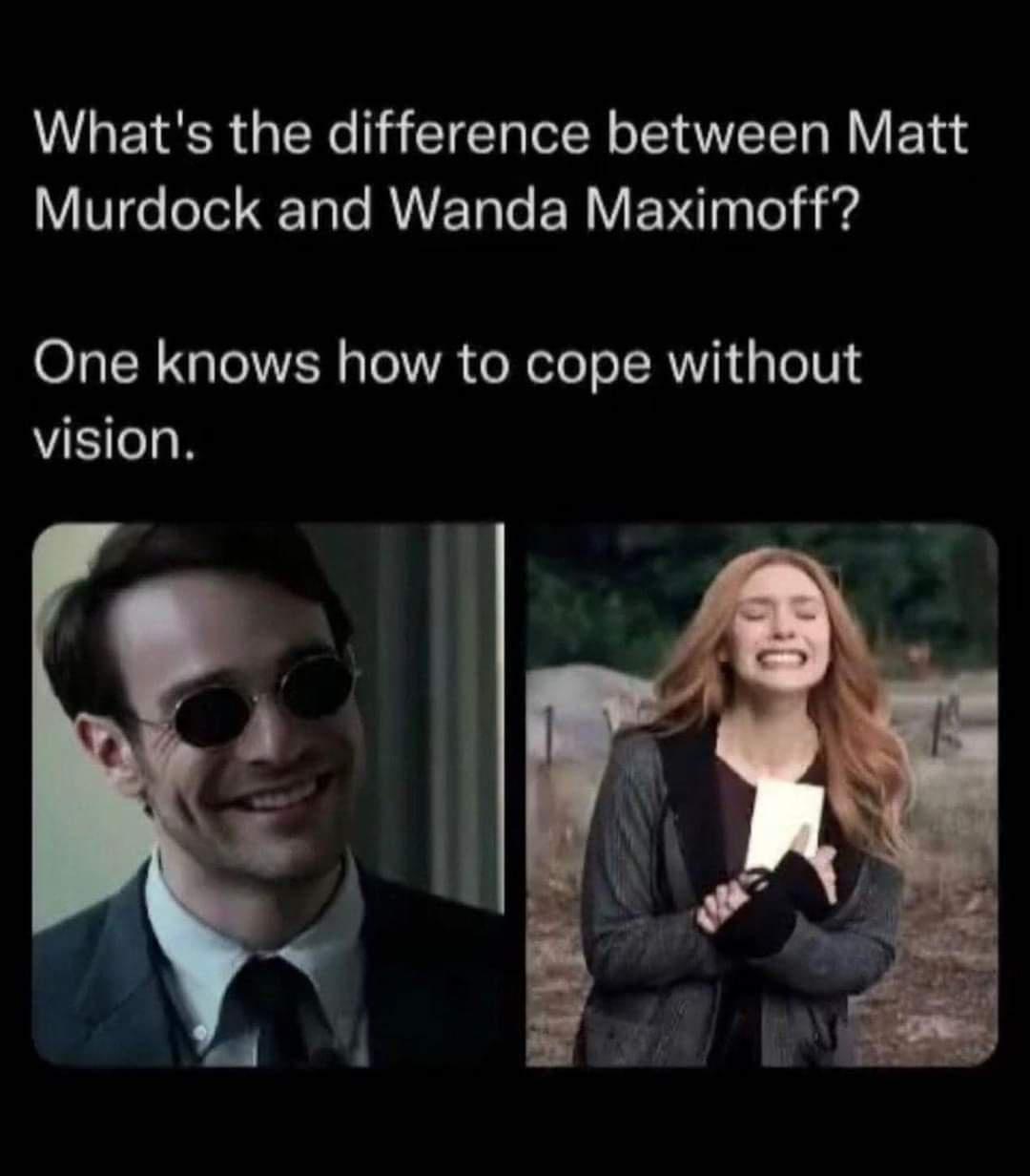 funny memes - what's the difference between matt murdock and wanda maximoff - What's the difference between Matt Murdock and Wanda Maximoff? One knows how to cope without vision. 40