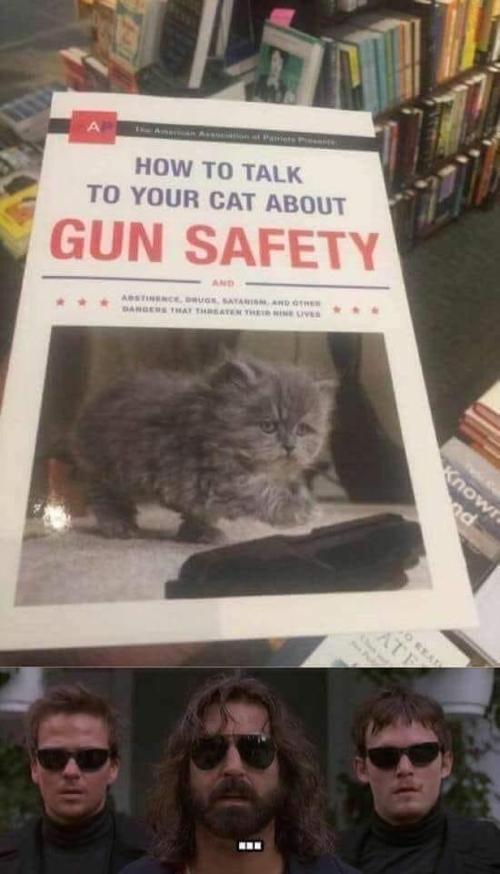 funny memes - talk to your cat about gun safety meme - How To Talk To Your Cat About Gun Safety Abstinence, Druge, Satanism And Other Dangers That Threaten Their Nine Lives Ate Known nd O Read