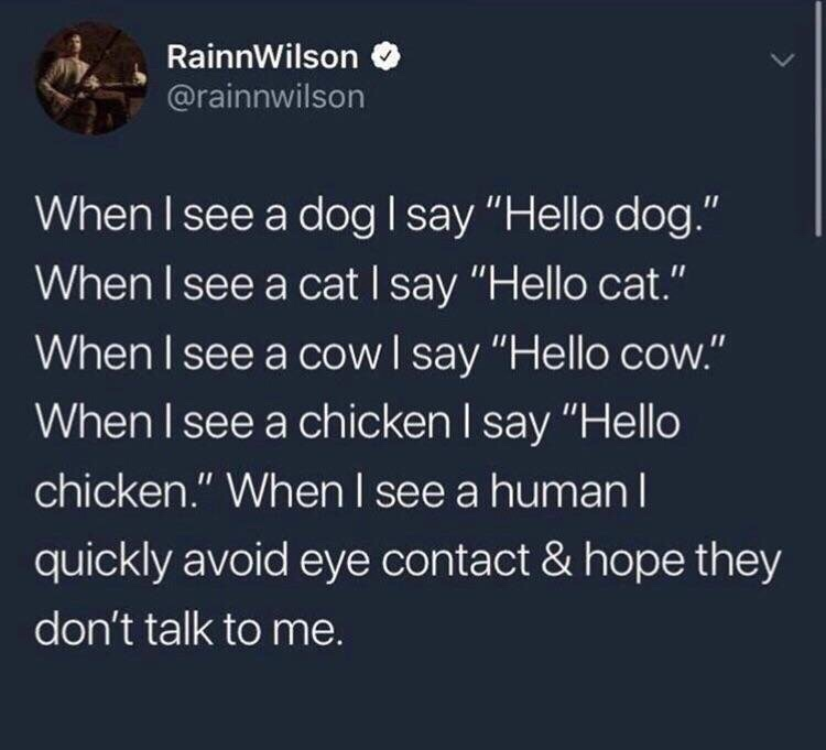 savage tweets - see a cow i say hello cow - RainnWilson When I see a dog I say