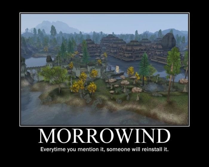 gaming memes - morrowind memes - Morrowind Everytime you mention it, someone will reinstall it.