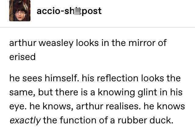 funny memes - angle - accioshitpost arthur weasley looks in the mirror of erised he sees himself. his reflection looks the same, but there is a knowing glint in his eye. he knows, arthur realises. he knows exactly the function of a rubber duck.