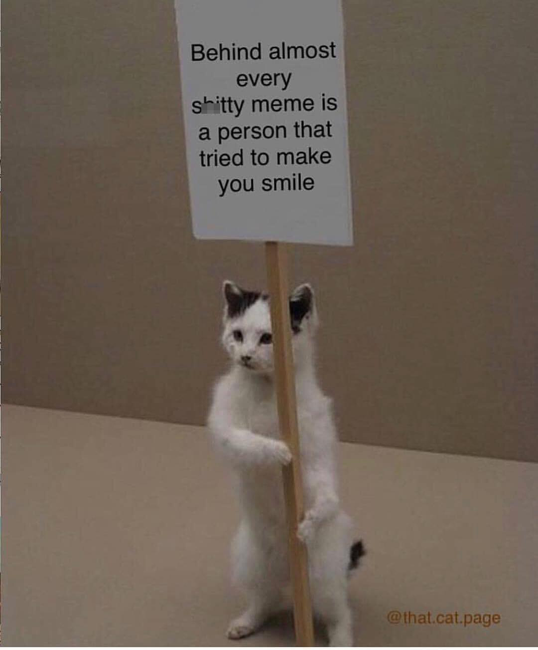 funny memes - cat holding im dead sign - Behind almost every shitty meme is a person that tried to make you smile .cat.page