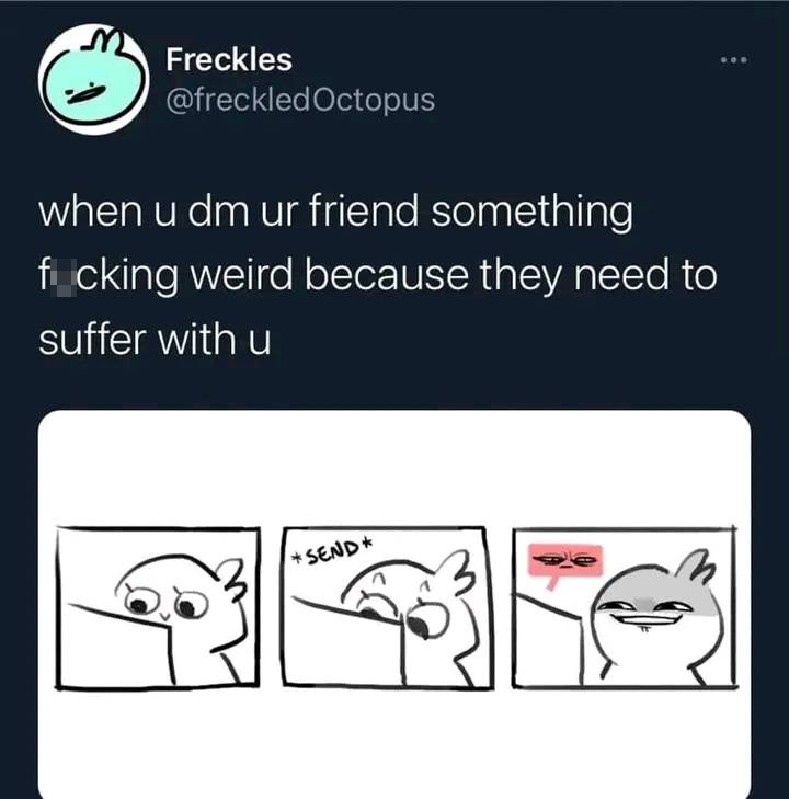 funny memes - cartoon - Freckles Octopus Sor when u dm ur friend something ficking weird because they need to suffer with u Send