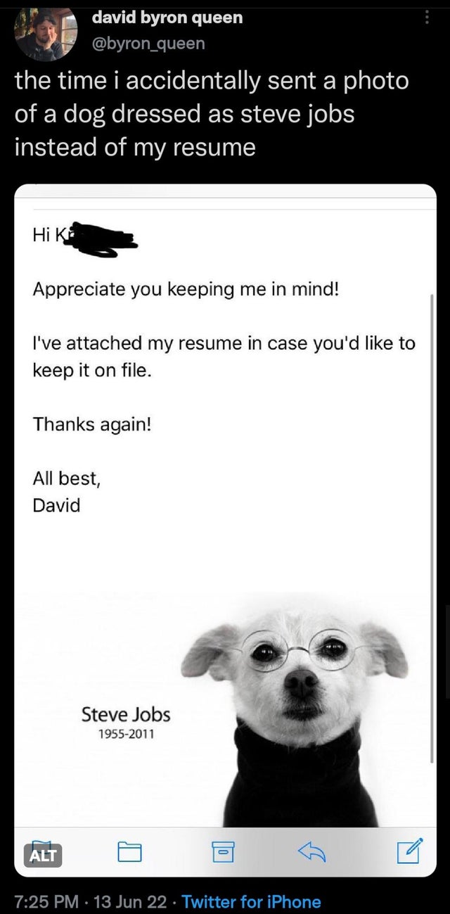 funny tweets - dog - david byron queen the time i accidentally sent a photo of a dog dressed as steve jobs instead of my resume Hi K Appreciate you keeping me in mind! I've attached my resume in case you'd to keep it on file. Thanks again! All best, David