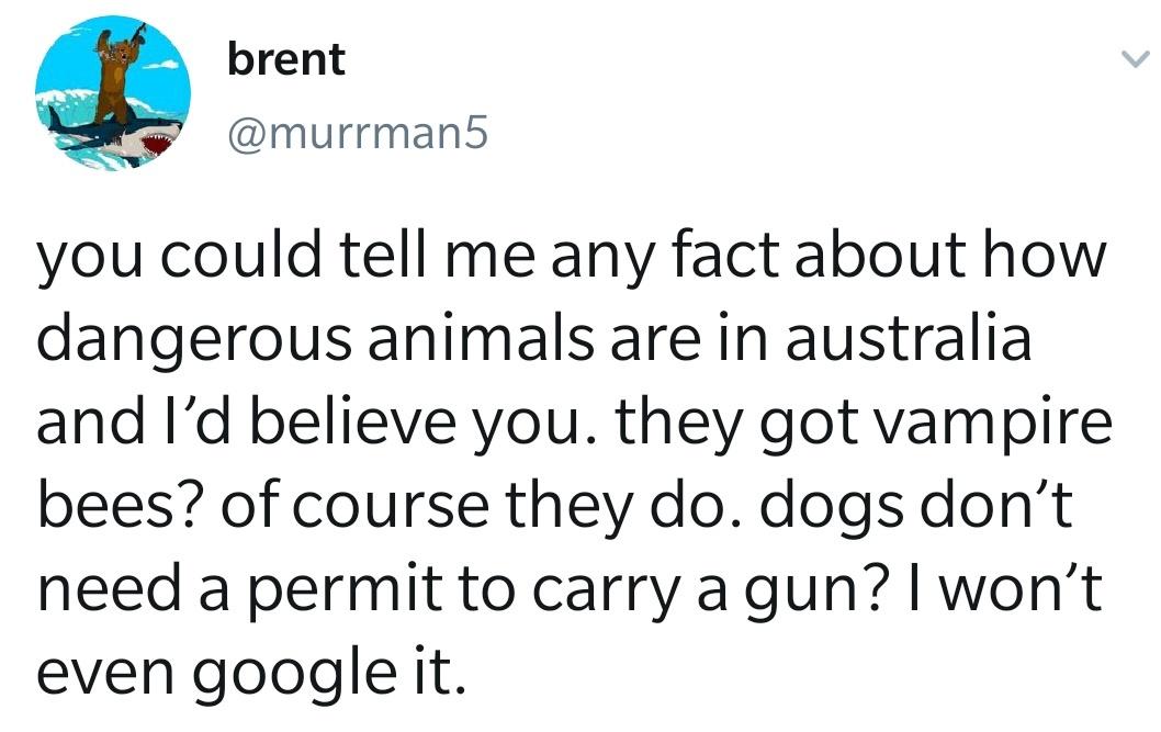 funny tweets - grink tweet - brent you could tell me any fact about how dangerous animals are in australia and I'd believe you. they got vampire bees? of course they do. dogs don't need a permit to carry a gun? I won't even google it.