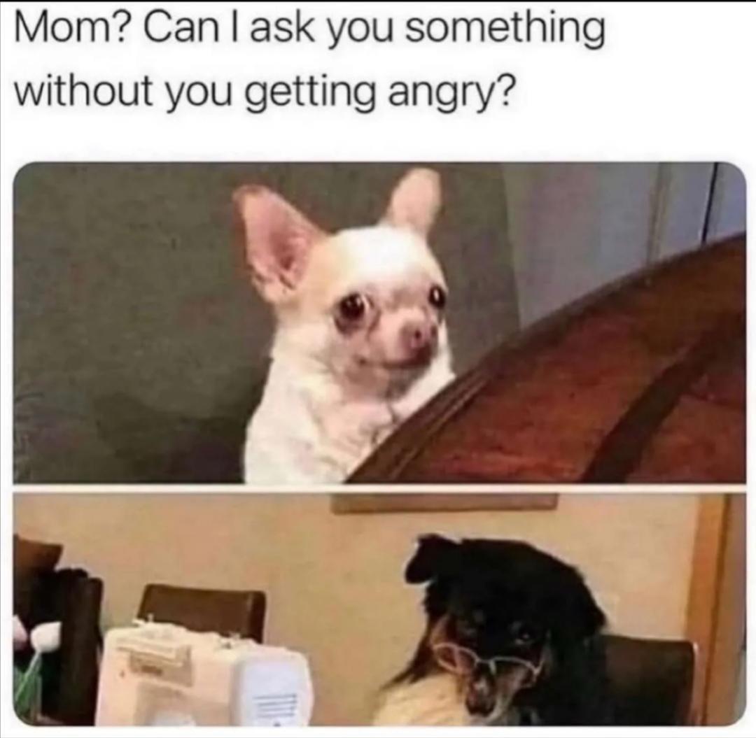 dank memes - mom can i ask you something without you getting angry - Mom? Can I ask you something without you getting angry?