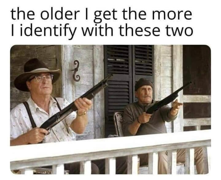 dank memes - second hand lions meme - the older I get the more I identify with these two N 96