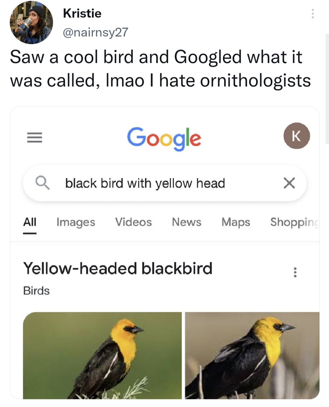 dank memes - google new - Kristie Saw a cool bird and Googled what it was called, Imao I hate ornithologists Google K Qblack bird with yellow head All Images Videos News Maps Yellowheaded blackbird Birds X Shopping