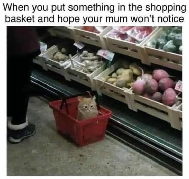 dank memes - produce - When you put something in the shopping basket and hope your mum won't notice