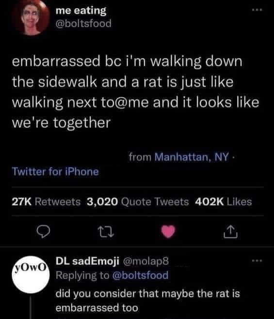 dank memes - screenshot - me eating embarrassed bc i'm walking down the sidewalk and a rat is just walking next to and it looks we're together from Manhattan, Ny. Twitter for iPhone 27K 3,020 Quote Tweets 17 yOwo Dl sadEmoji did you consider that maybe th