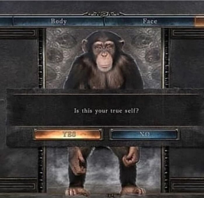 gaming memes - your true self dark souls - Body Is this your true self? Face No