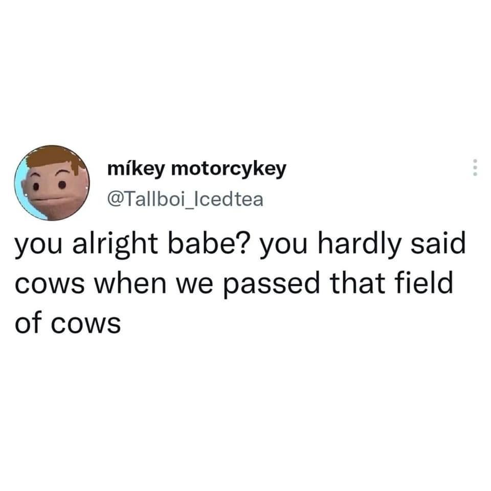 funny tweets - babe are you okay you didn t say cows - mkey motorcykey tea you alright babe? you hardly said cows when we passed that field of cows