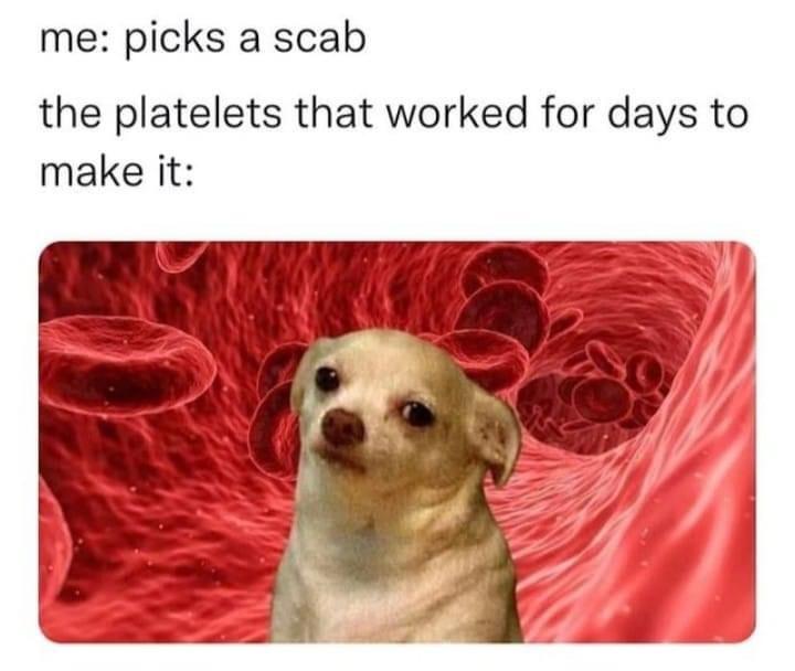 dank memes - platelets scab meme - me picks a scab the platelets that worked for days to make it