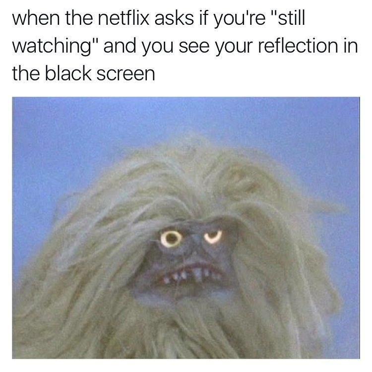 dank memes - netflix asks are you still watching - when the netflix asks if you're "still watching" and you see your reflection in the black screen