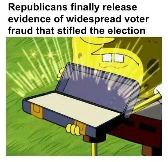 dank memes - meme template - Republicans finally release evidence of widespread voter fraud that stifled the election c 00