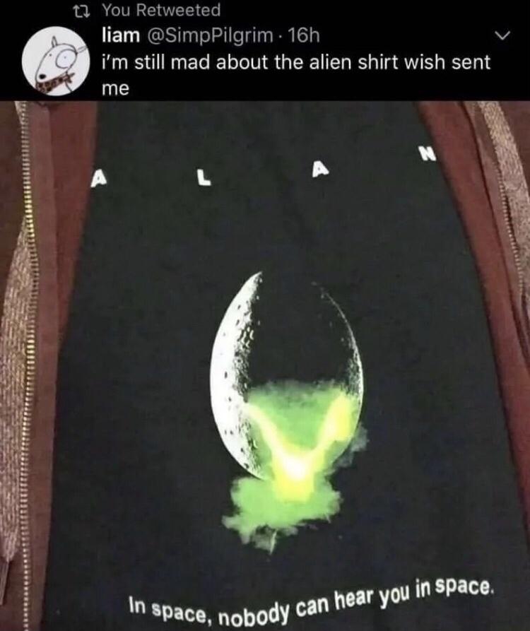 funny memes - dank memes - space no one can hear you - You Retweeted liam 16h I'm still mad about the alien shirt wish sent me L N In space, nobody can hear you in space.