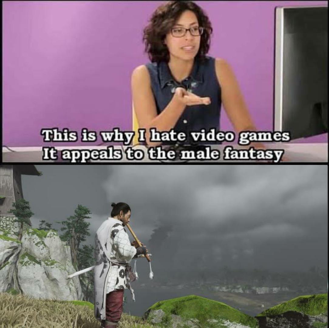 Gaming memes - photo caption - This is why I hate video games It appeals to the male fantasy