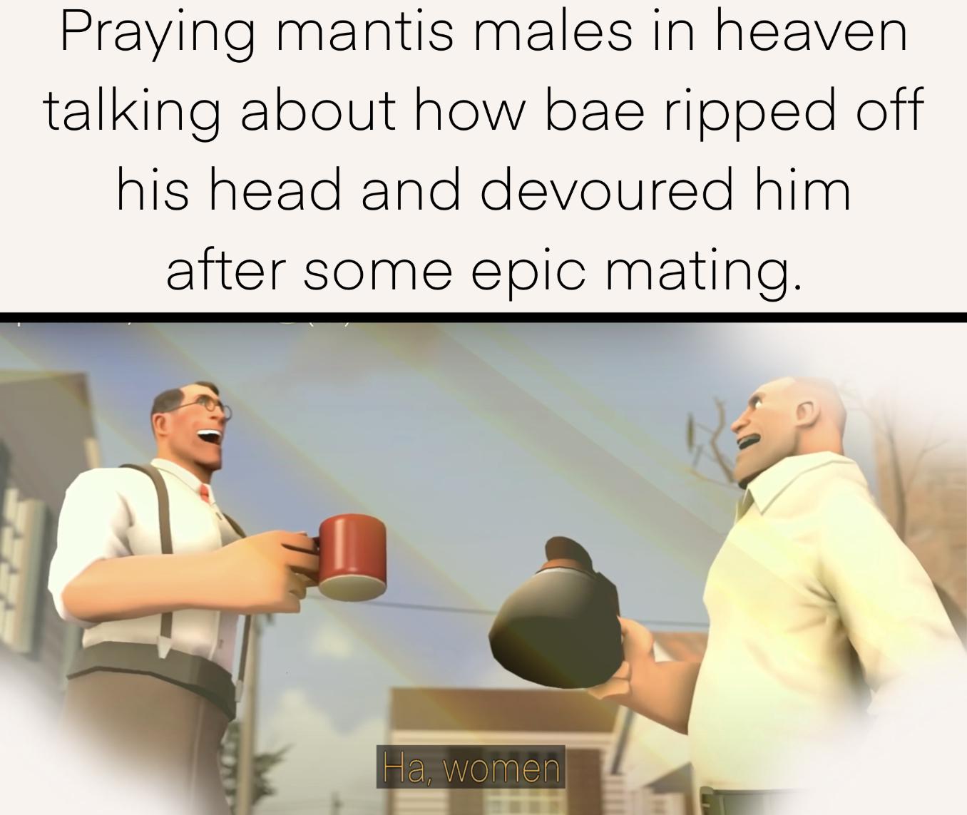 Gaming memes - women hahaha - Praying mantis males in heaven talking about how bae ripped off his head and devoured him after some epic mating. Ha, women