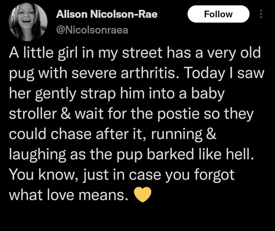 funniest tweets - atmosphere - Alison NicolsonRae A little girl in my street has a very old pug with severe arthritis. Today I saw her gently strap him into a baby stroller & wait for the postie so they could chase after it, running & laughing as the pup 