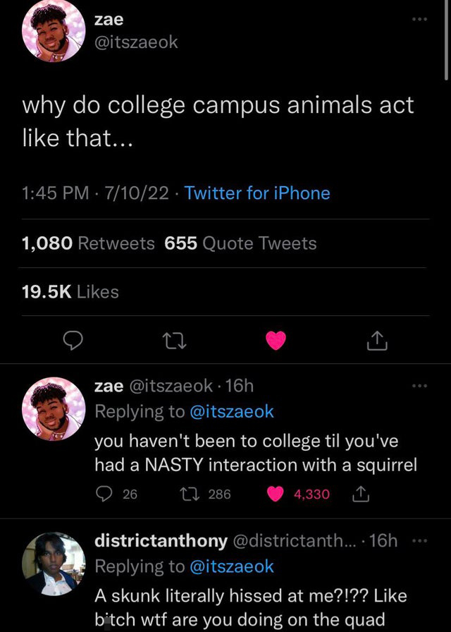 funniest tweets - screenshot - zae why do college campus animals act that... 71022 Twitter for iPhone . 1,080 655 Quote Tweets 22 zae 16h you haven't been to college til you've had a Nasty interaction with a squirrel 26 4,330 286 districtanthony ... 16h A