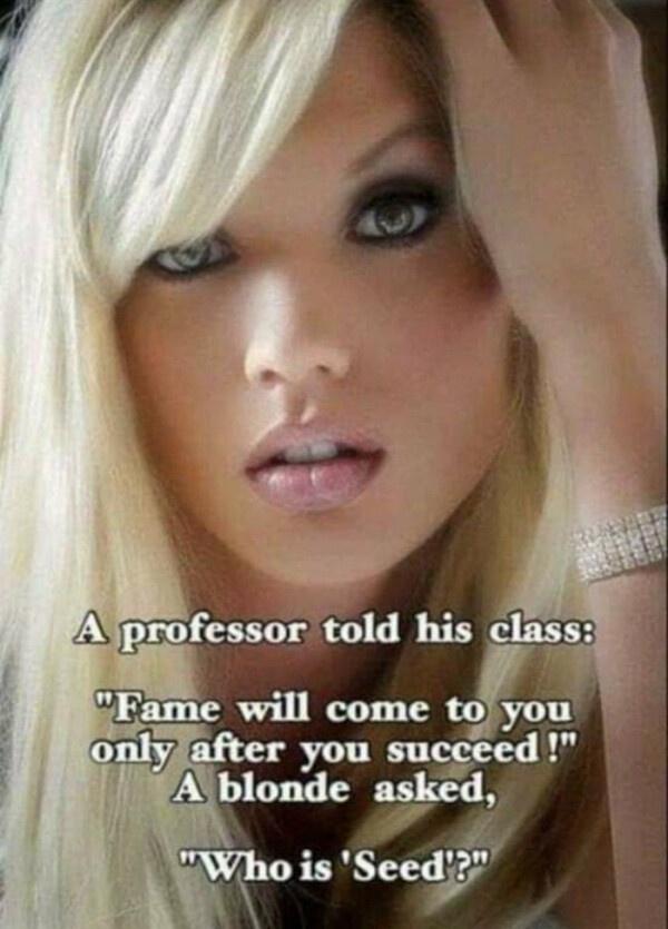 funny memes - dank memes - sexy babe faces - A professor told his class "Fame will come to you only after you succeed!" A blonde asked, "Who is 'Seed'?"
