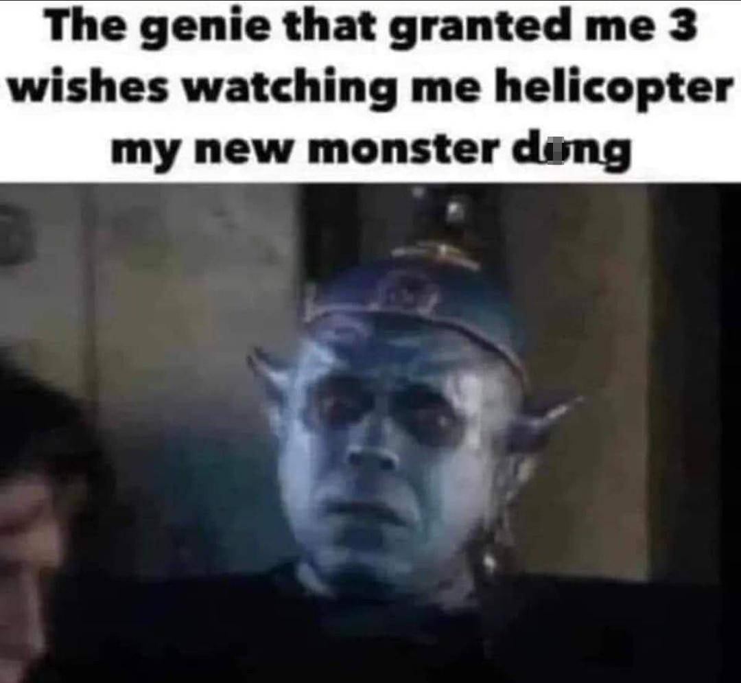 funny memes - dank memes - head - The genie that granted me 3 wishes watching me helicopter my new monster dong