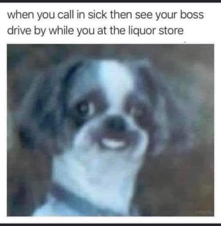 funny memes - dank memes - dog - when you call in sick then see your boss drive by while you at the liquor store