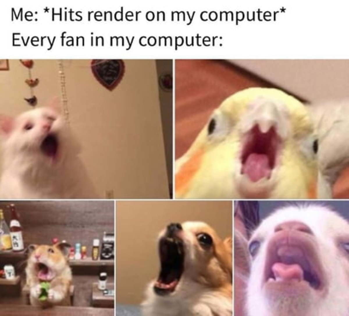 Gaming memes - photo caption - Me Hits render on my computer Every fan in my computer
