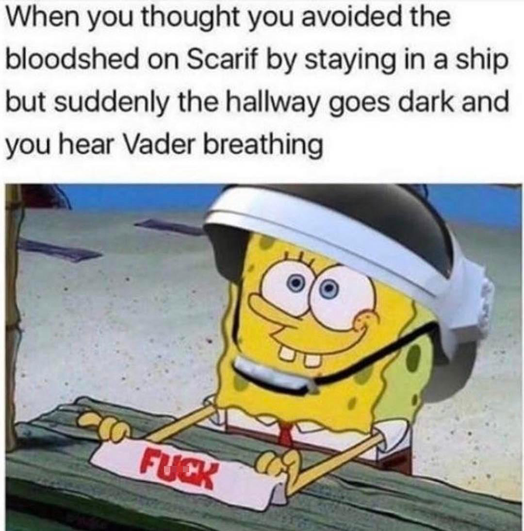 funny memes - dank memes - lie down and die - When you thought you avoided the bloodshed on Scarif by staying in a ship but suddenly the hallway goes dark and you hear Vader breathing Fuck
