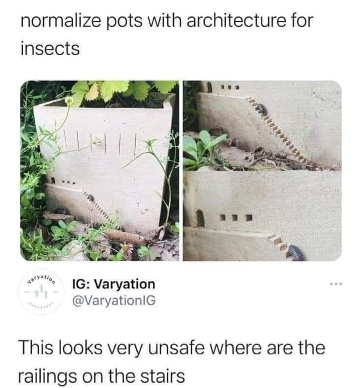 funny memes - dank memes - normalize pots with architecture for insects - normalize pots with architecture for insects Ig Varyation 171127 This looks very unsafe where are the railings on the stairs