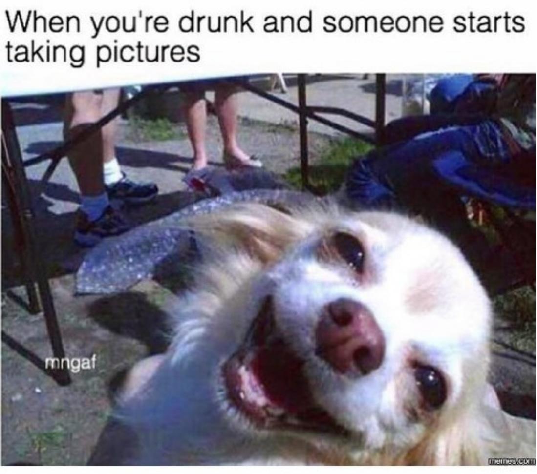 funny memes - dank memes - photo caption - When you're drunk and someone starts taking pictures mngaf memers.comTI
