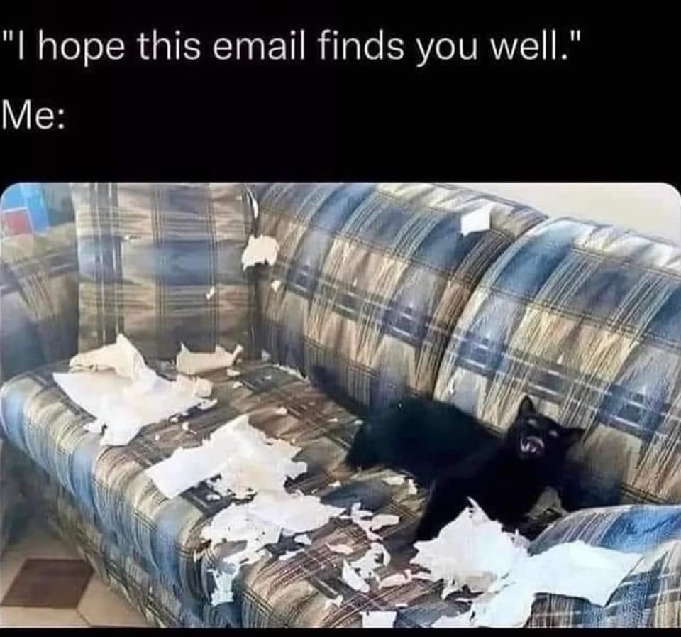 funny memes - dank memes - "I hope this email finds you well." Me