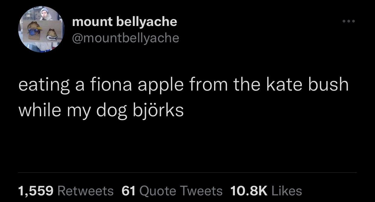 funny and savage tweets - 2023 is my year meme - mount bellyache eating a fiona apple from the kate bush while my dog bjrks 1,559 61 Quote Tweets