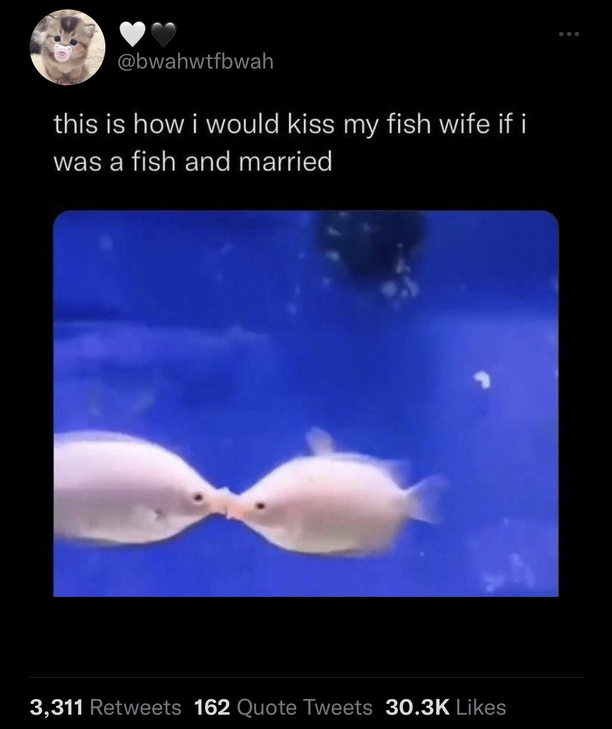 funny and savage tweets - would kiss my fish wife - this is how i would kiss my fish wife if i was a fish and married 3,311 162 Quote Tweets