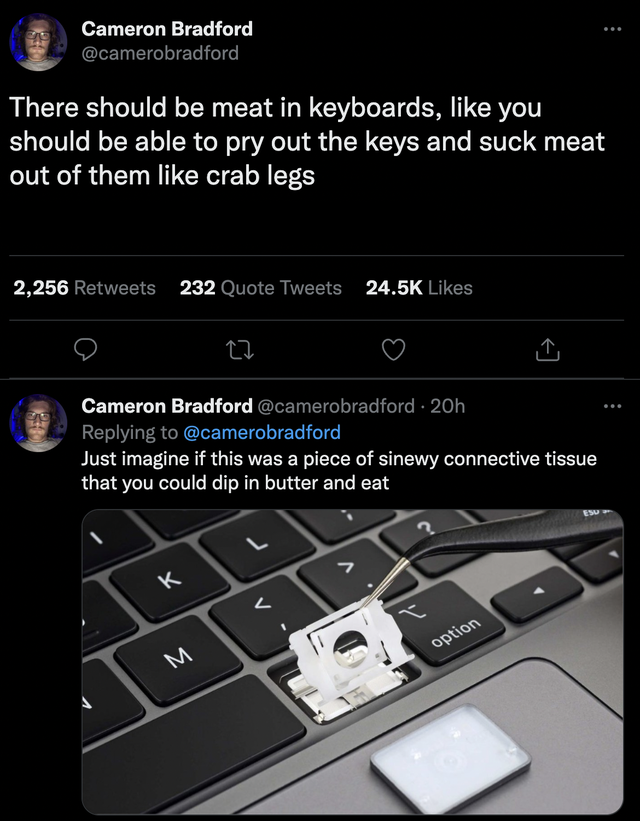 funny and savage tweets - multimedia - Cameron Bradford There should be meat in keyboards, you should be able to pry out the keys and suck meat out of them crab legs 2,256 232 Quote Tweets Mexx 12 Cameron Bradford Just imagine if this was a piece of sinew