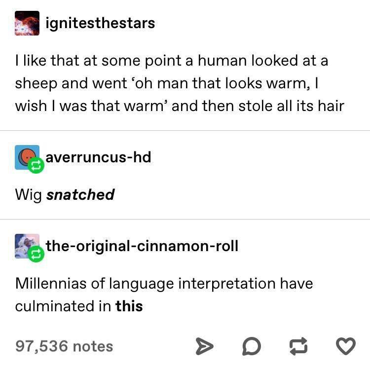 funny memes - funny tumblr posts about france - ignitesthestars I that at some point a human looked at a sheep and went 'oh man that looks warm, I wish I was that warm' and then stole all its hair averruncushd Wig snatched theoriginalcinnamonroll Millenni