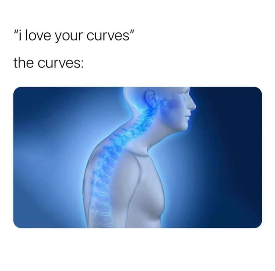 funny memes - love your curves meme - i love your curves" the curves 28