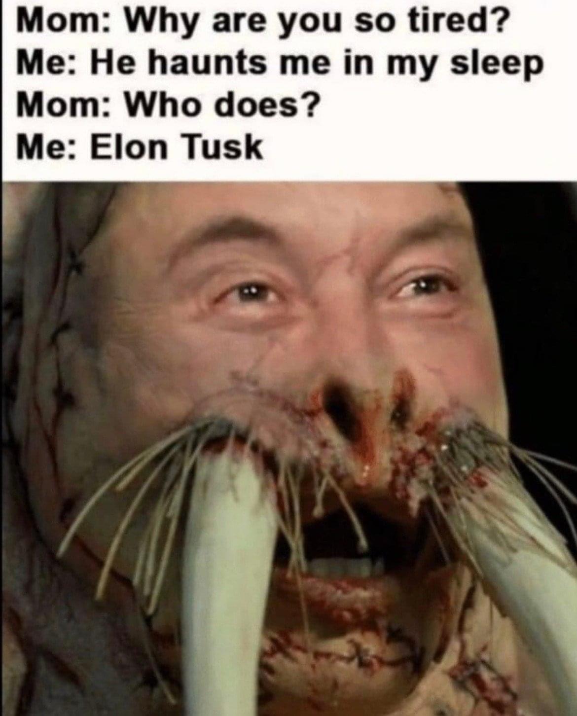 funny memes - elon tusk realistic - Mom Why are you so tired? Me He haunts me in my sleep Mom Who does? Me Elon Tusk