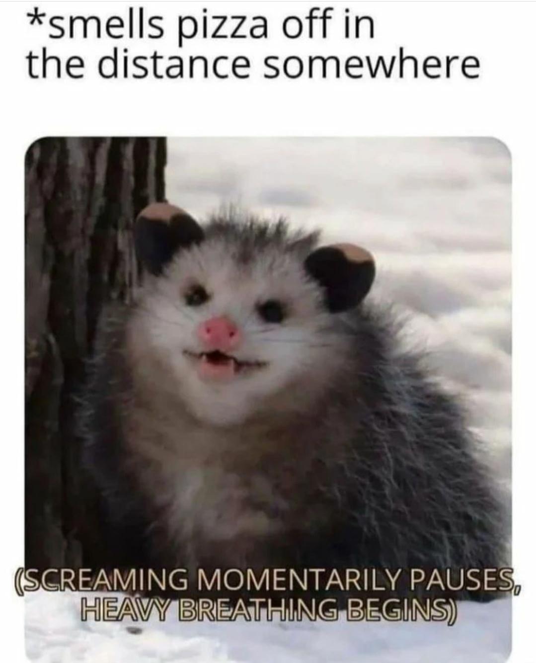 funny memes - opossum memes - smells pizza off in the distance somewhere Screaming Momentarily Pauses Heavy Breathing Begins