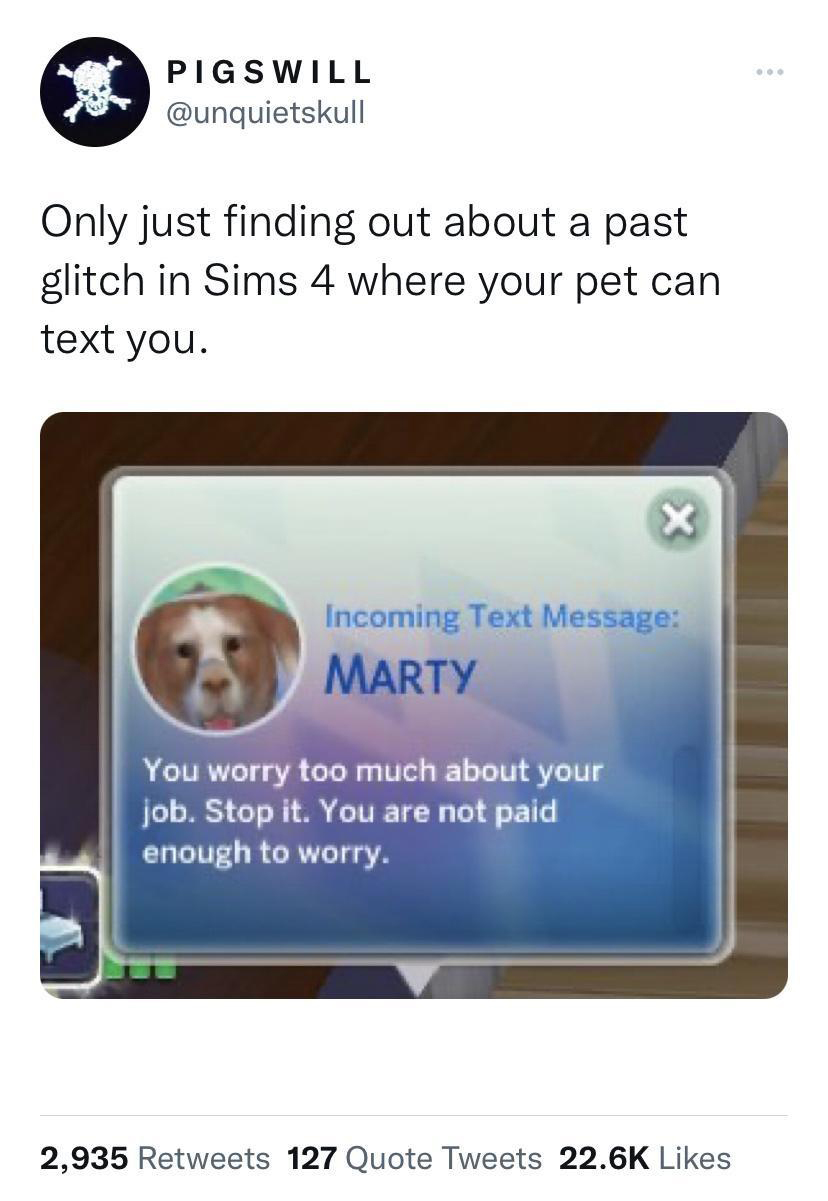 Gaming memes - media - Pigswill Only just finding out about a past glitch in Sims 4 where your pet can text you. X Incoming Text Message Marty You worry too much about your job. Stop it. You are not paid enough to worry.