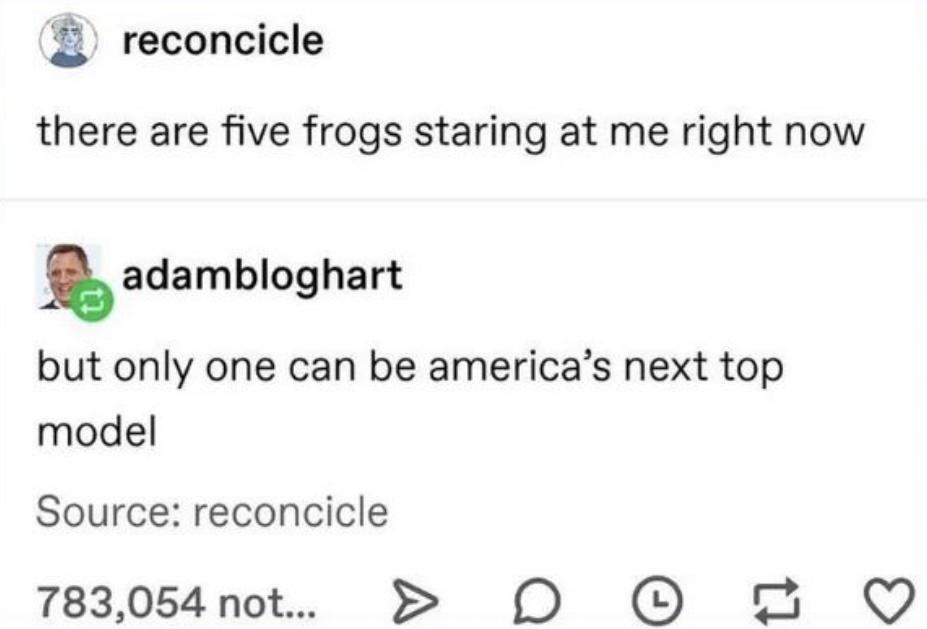 dank memes - funny memes - playing dnd by yourself - reconcicle there are five frogs staring at me right now adambloghart but only one can be america's next top model Source reconcicle 783,054 not... D O tl