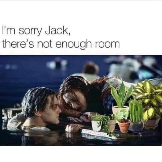 dank memes - funny memes - im sorry jack there's not enough room plants - I'm sorry Jack, there's not enough room
