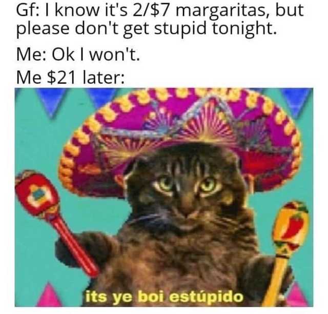 dank memes - funny memes - funny - Gf I know it's 2$7 margaritas, but please don't get stupid tonight. Me Ok I won't. Me $21 later W its ye boi estpido