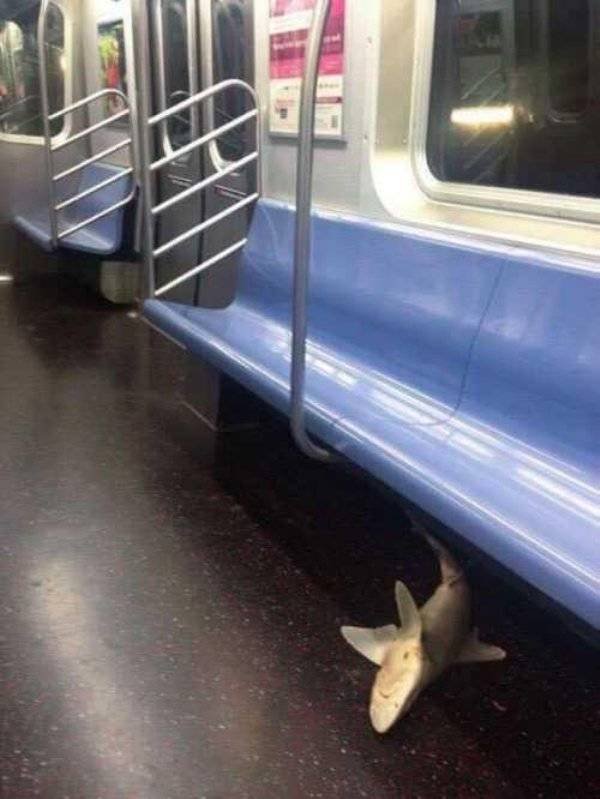 WTF Things You Can Only See Taking The Subway