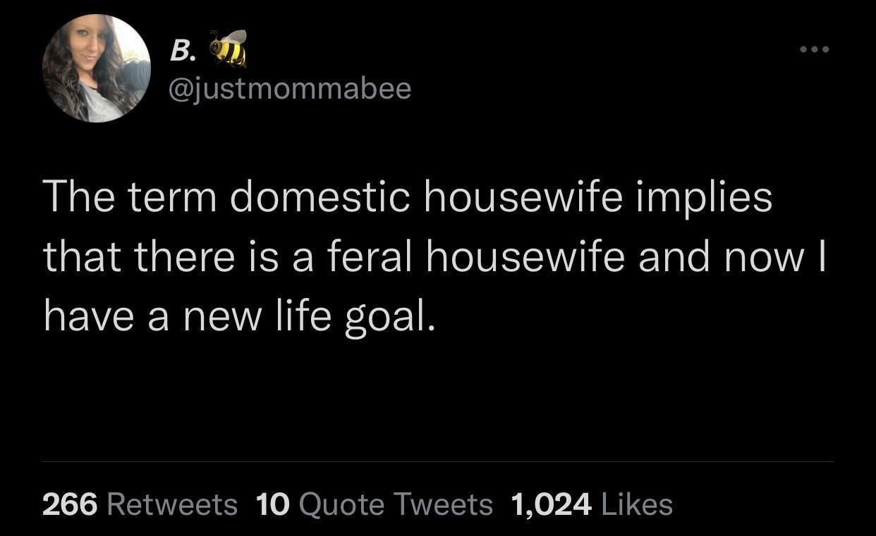 monday morning randomness - twitter funny - B. The term domestic housewife implies that there is a feral housewife and now I have a new life goal. 266 10 Quote Tweets 1,024