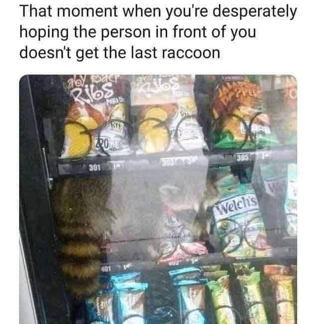 Fresh memes - raccoon vending machine - That moment when you're desperately hoping the person in front of you doesn't get the last raccoon