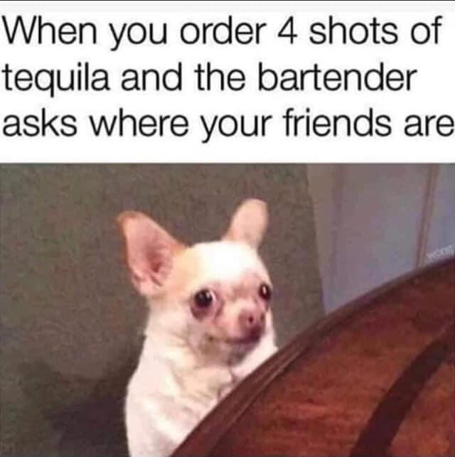 Fresh memes - funny - When you order 4 shots of tequila and the bartender asks where your friends are worst