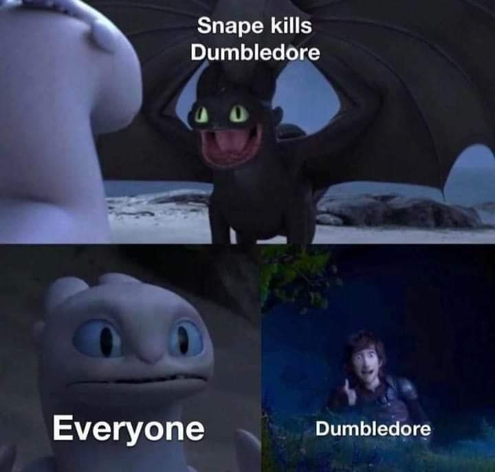 Snape kills Dumbledore Everyone O Dumbledore