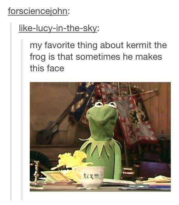 Fresh memes - my favorite thing about kermit the frog is that sometimes he makes this face