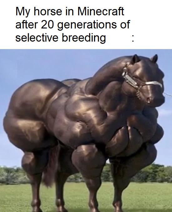 Gaming memes - buff horse - My horse in Minecraft after 20 generations of selective breeding